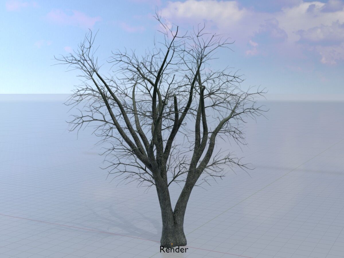 Japanese pagoda tree winter 16000mm Low-poly 3D model_16