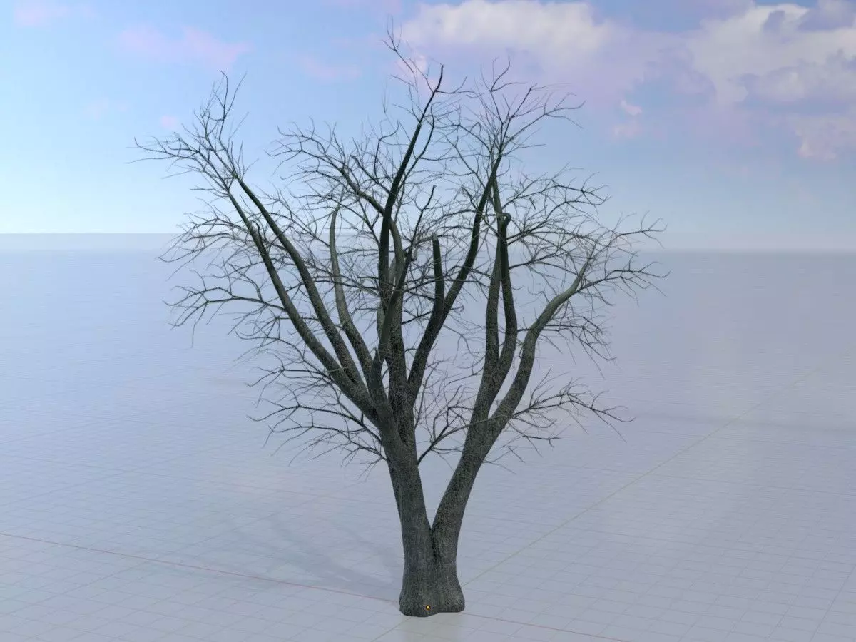 Japanese pagoda tree winter 16000mm Low-poly 3D model_0