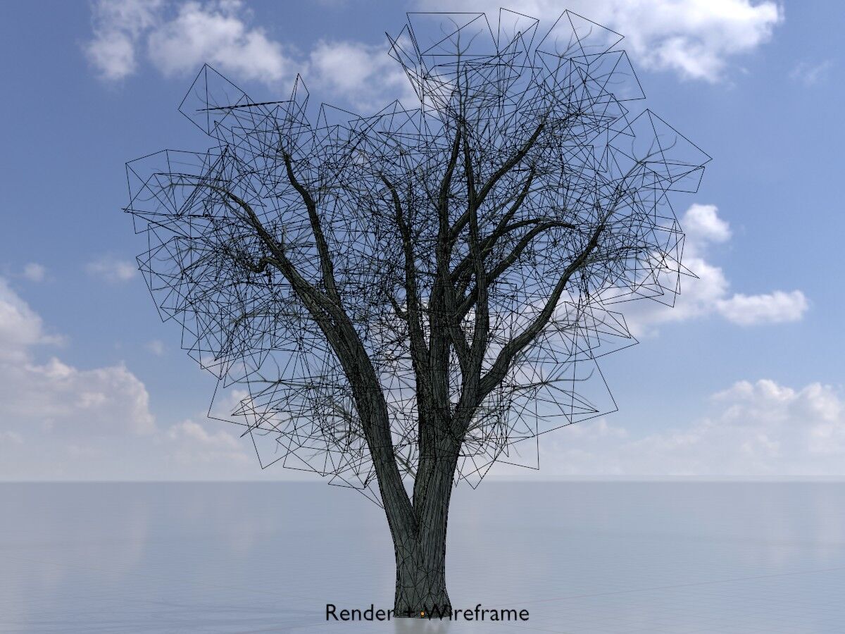 Japanese pagoda tree winter 16000mm Low-poly 3D model_7
