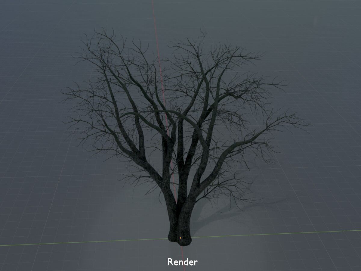 Japanese pagoda tree winter 16000mm Low-poly 3D model_2