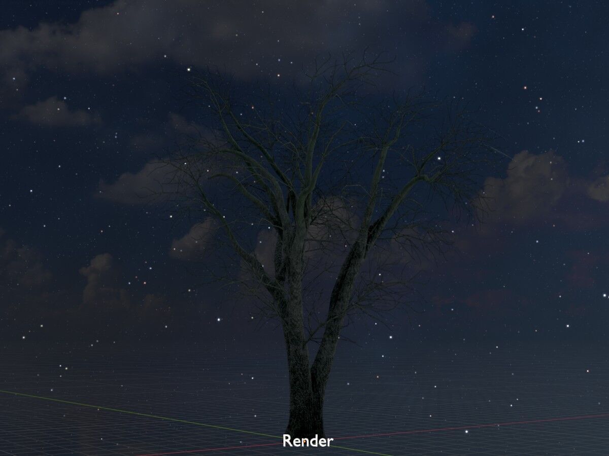 Japanese pagoda tree winter 16000mm Low-poly 3D model_20