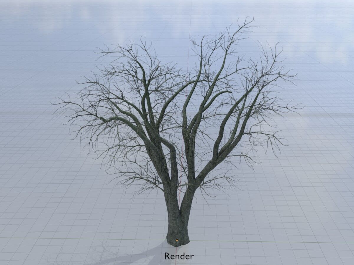 Japanese pagoda tree winter 16000mm Low-poly 3D model_15