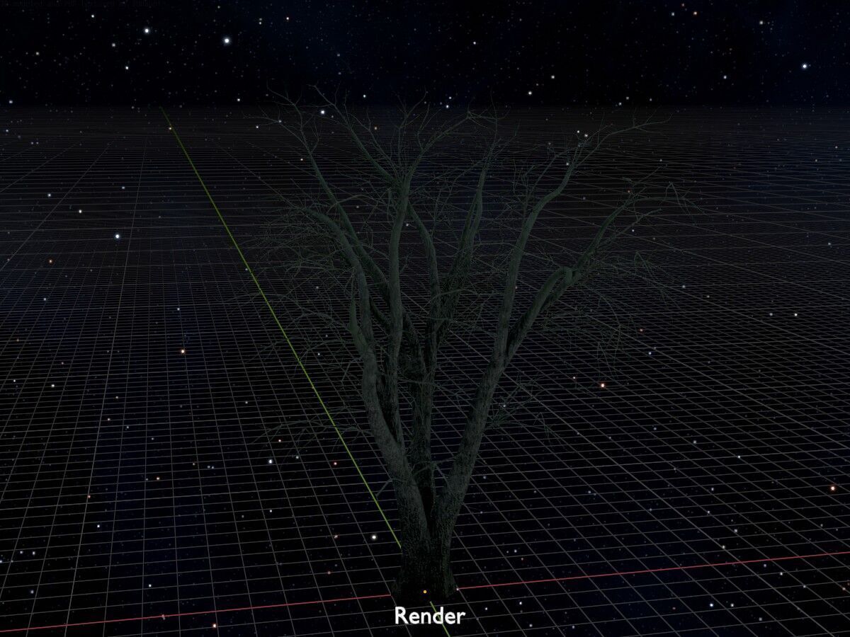 Japanese pagoda tree winter 16000mm Low-poly 3D model_17