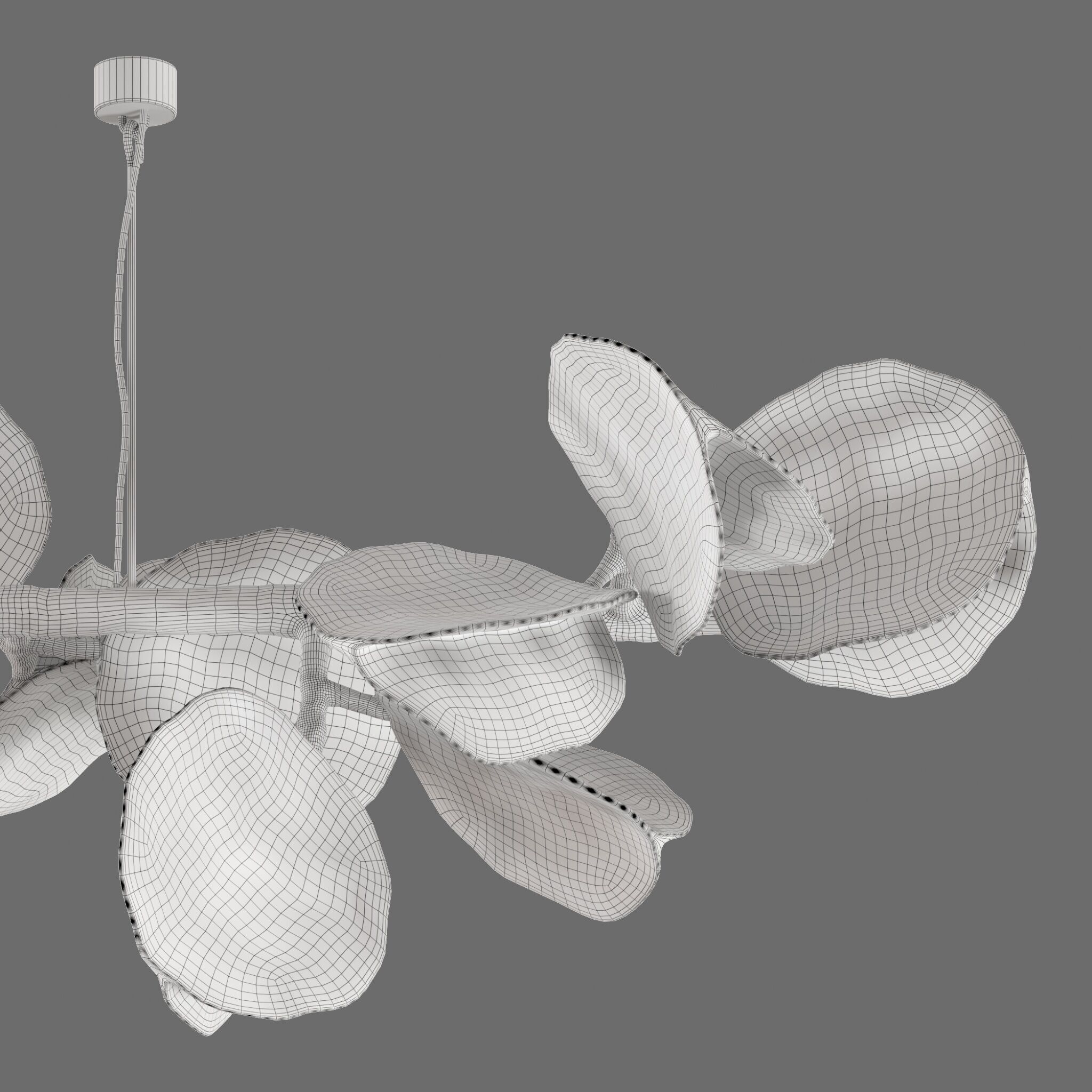 Pendant Lamp Olga Engel Moonpapier Branch 3D model_9