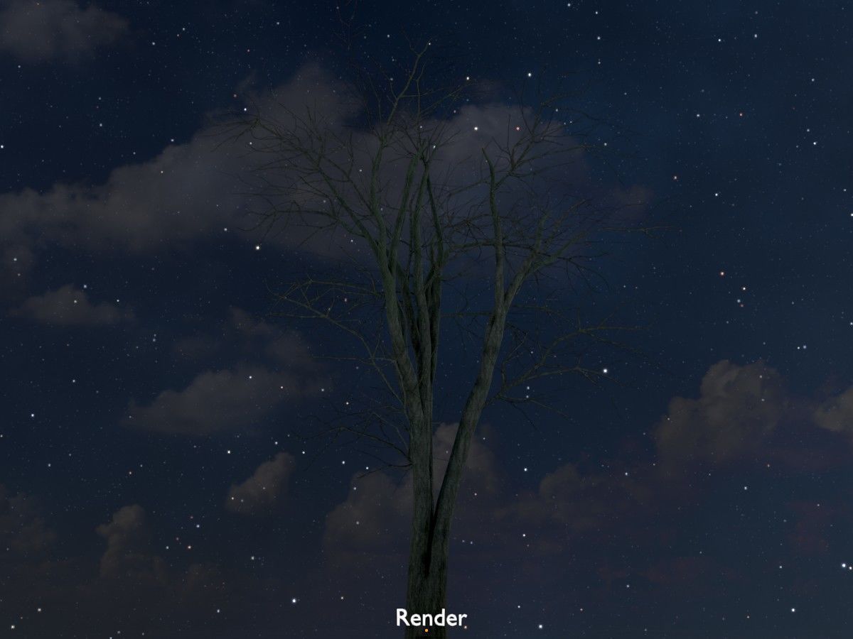 Japanese pagoda tree winter package 3D Model Collection_72