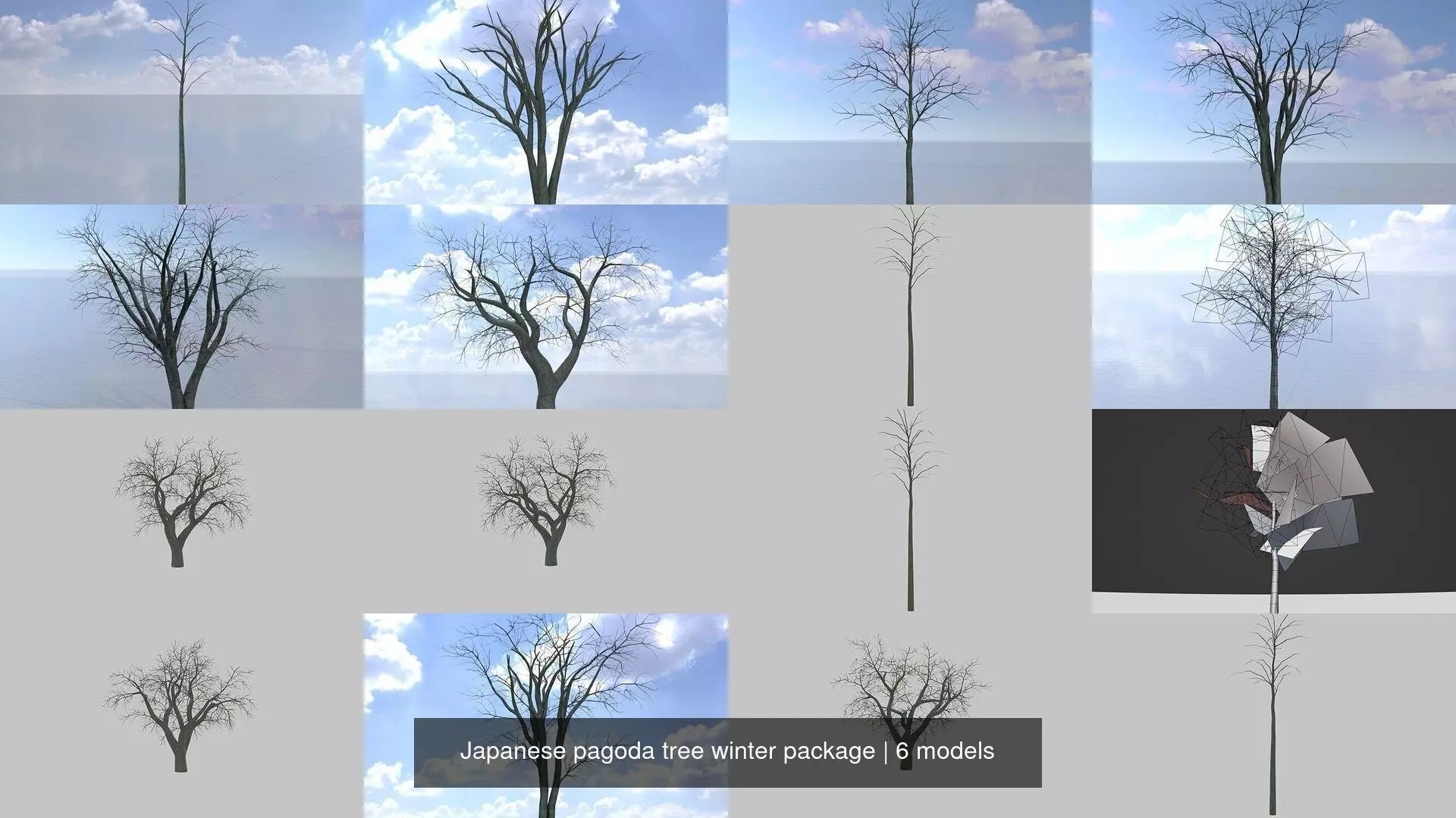 Japanese pagoda tree winter package 3D Model Collection_0