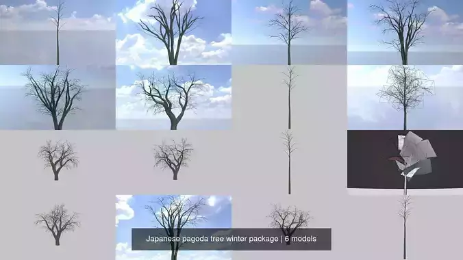 Japanese pagoda tree winter package 3D Model Collection
