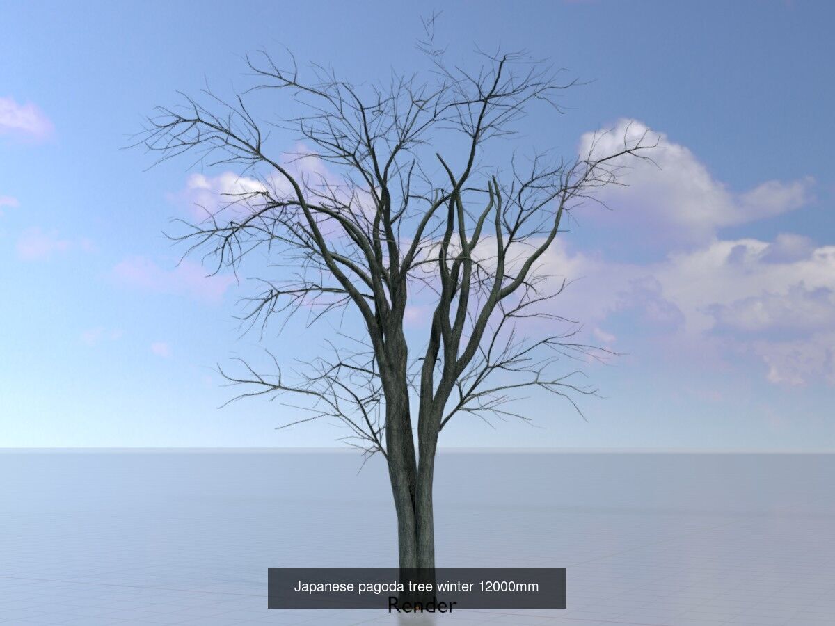 Japanese pagoda tree winter package 3D Model Collection_10