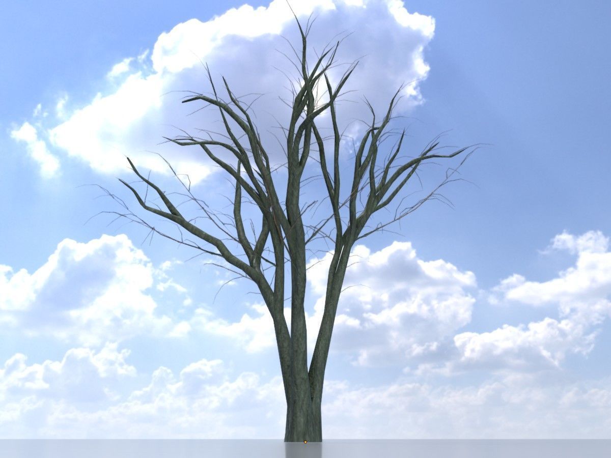 Japanese pagoda tree winter package 3D Model Collection_93