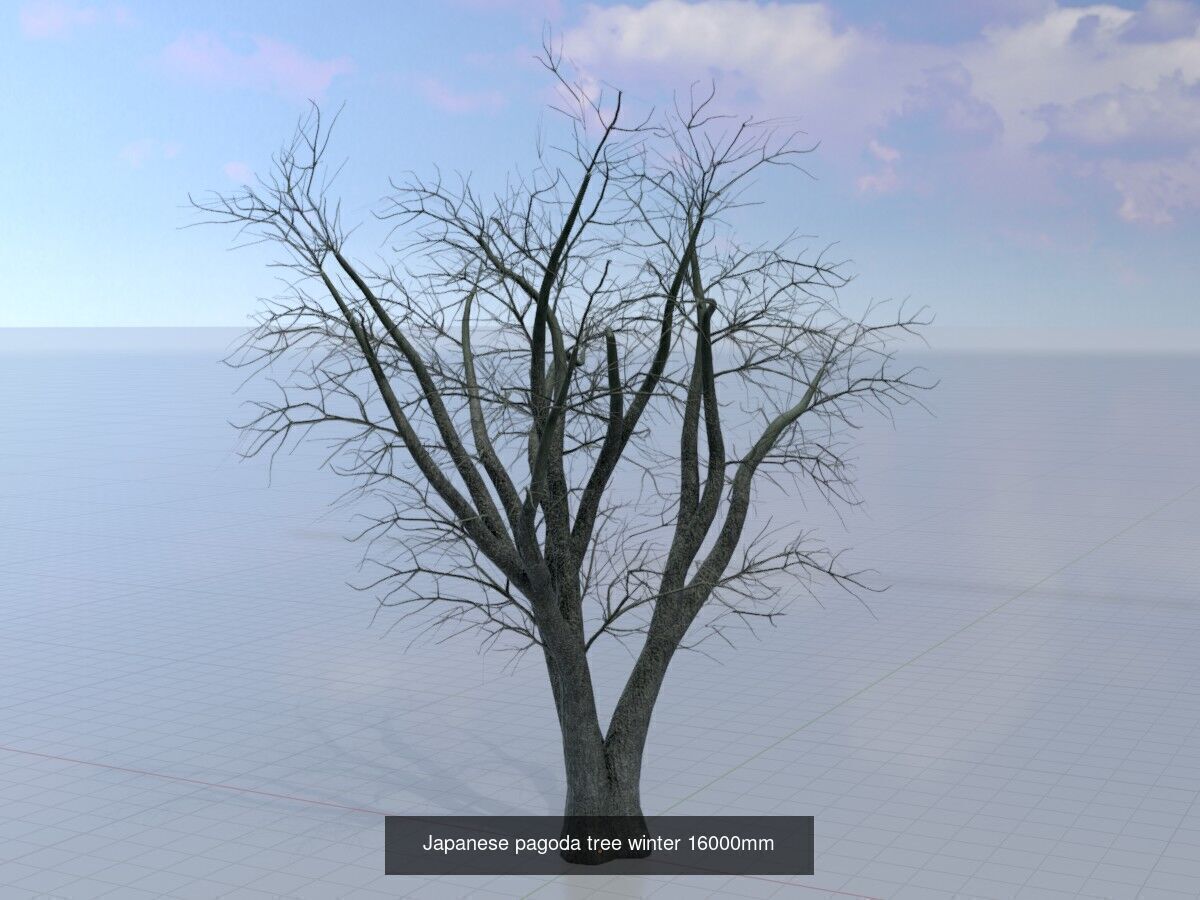 Japanese pagoda tree winter package 3D Model Collection_11