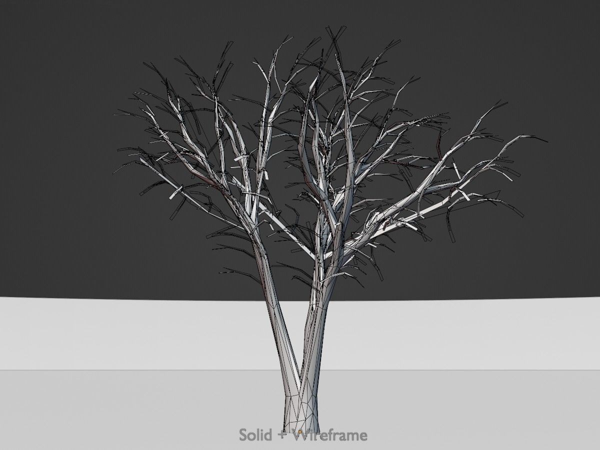Japanese pagoda tree winter package 3D Model Collection_103