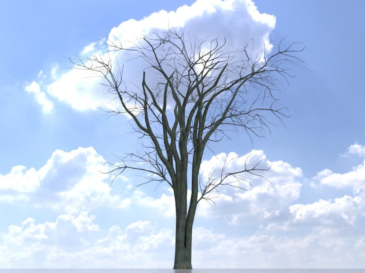 Japanese pagoda tree winter package 3D Model Collection_53