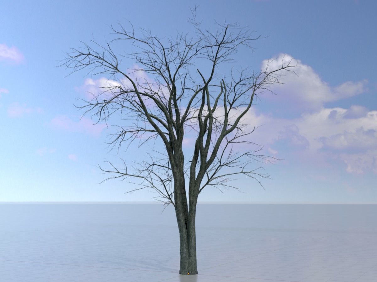 Japanese pagoda tree winter package 3D Model Collection_55
