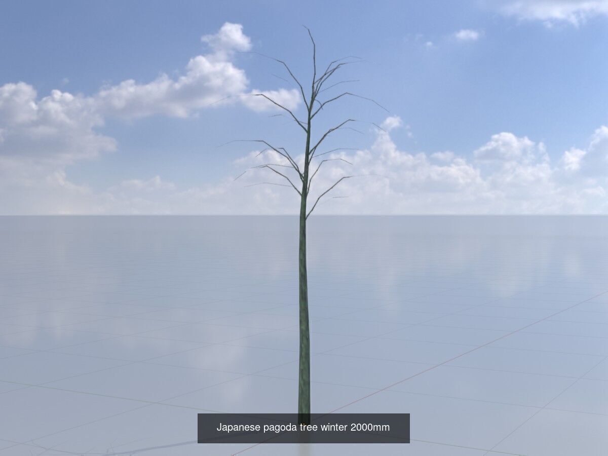Japanese pagoda tree winter package 3D Model Collection_7