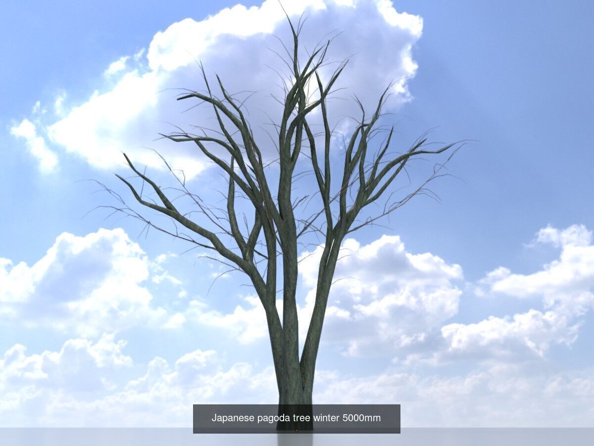 Japanese pagoda tree winter package 3D Model Collection_8