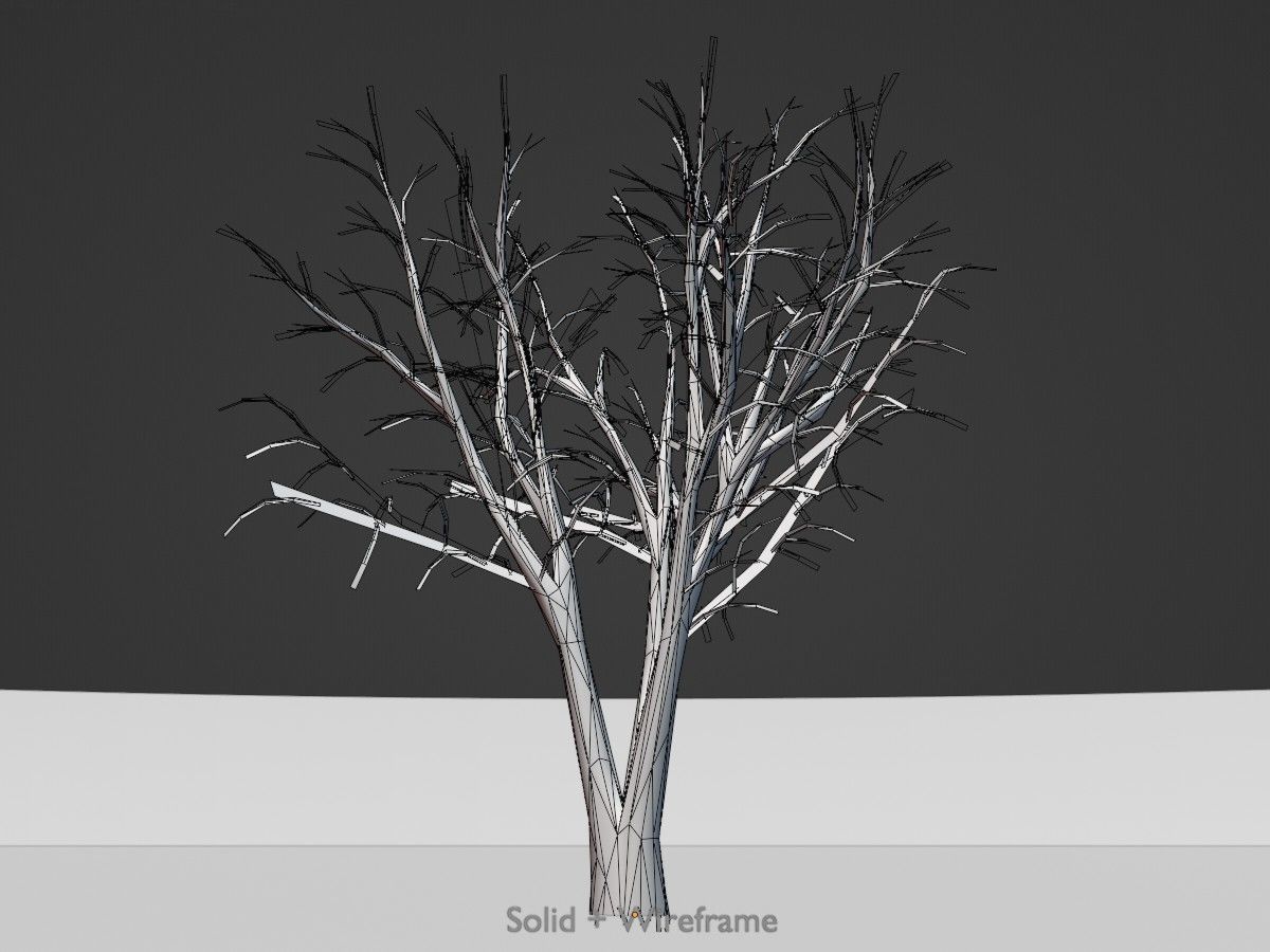 Japanese pagoda tree winter package 3D Model Collection_102