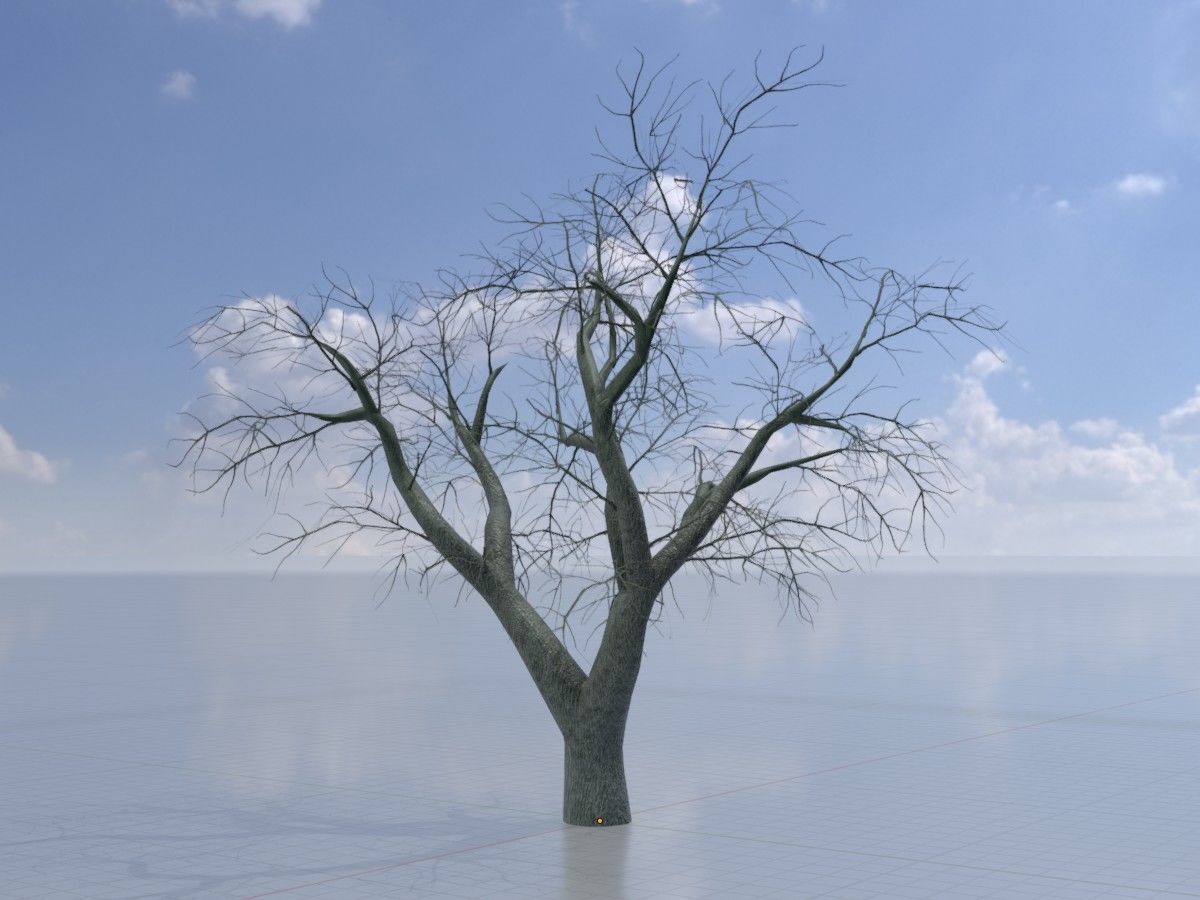 Japanese pagoda tree winter package 3D Model Collection_14