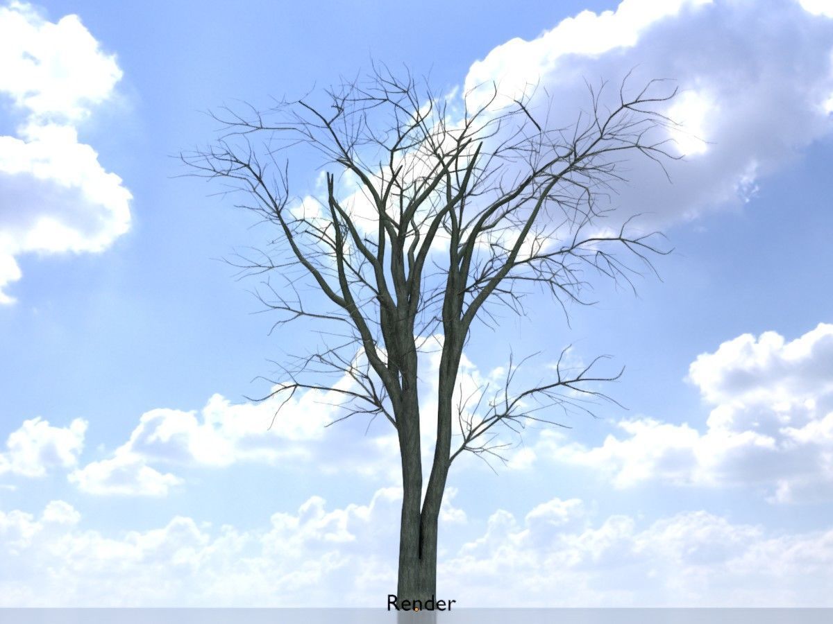 Japanese pagoda tree winter package 3D Model Collection_65