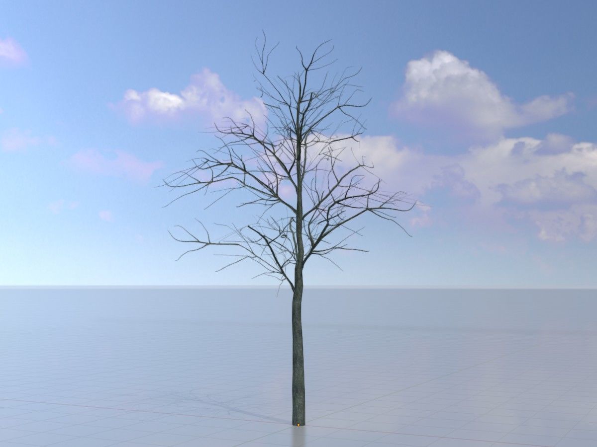 Japanese pagoda tree winter package 3D Model Collection_75