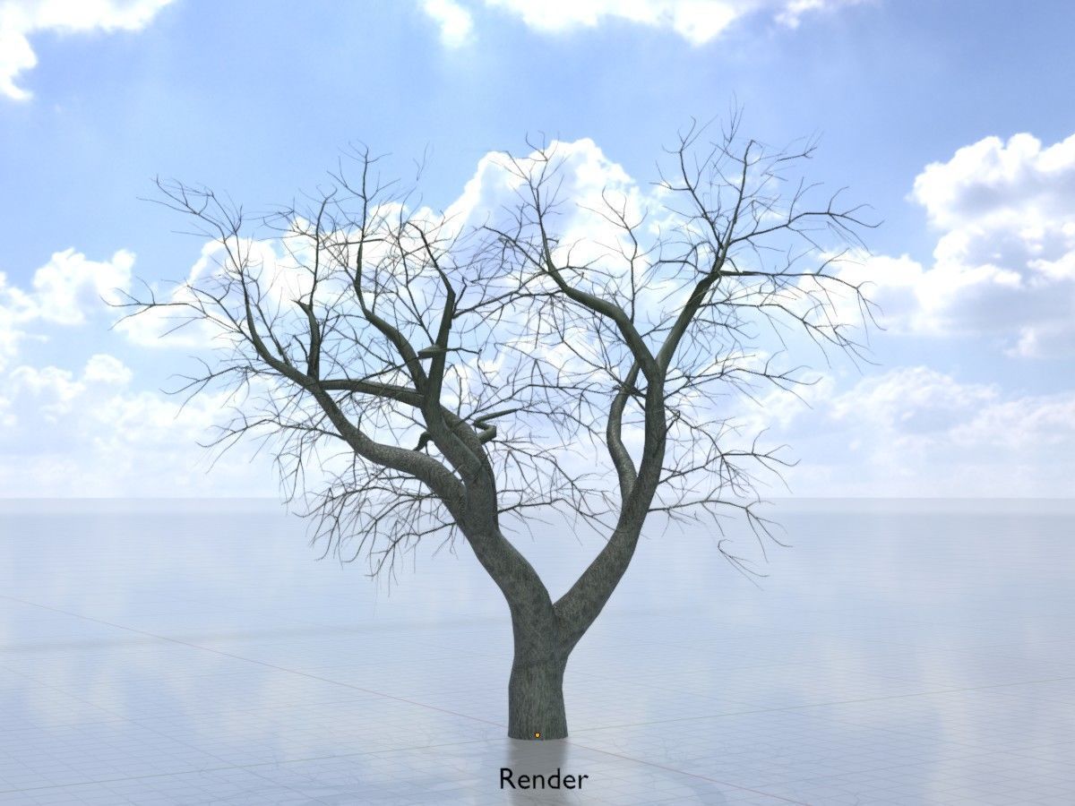 Japanese pagoda tree winter package 3D Model Collection_25