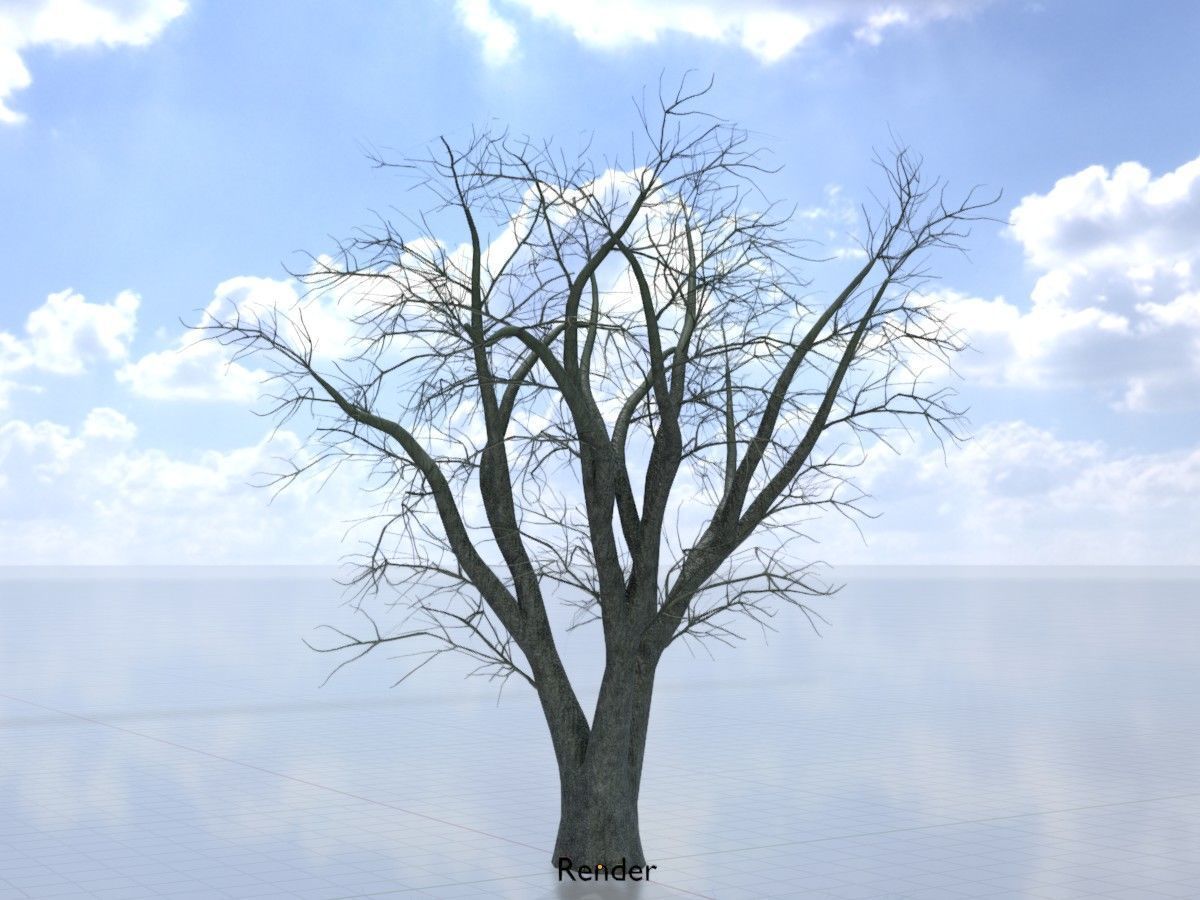 Japanese pagoda tree winter package 3D Model Collection_45