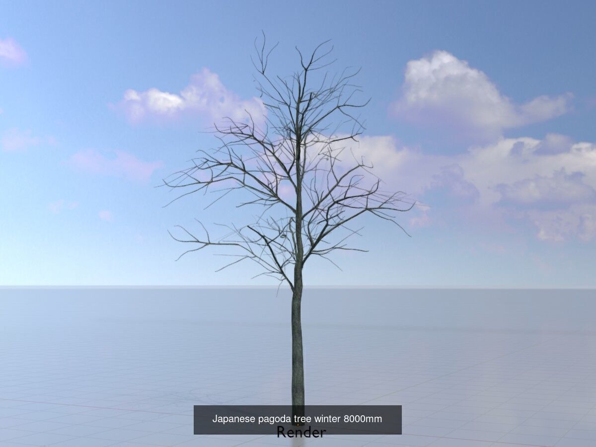 Japanese pagoda tree winter package 3D Model Collection_9