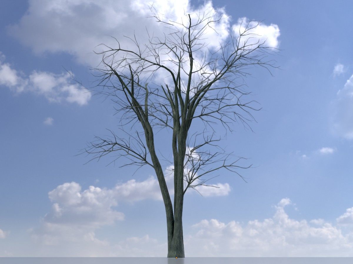 Japanese pagoda tree winter package 3D Model Collection_54