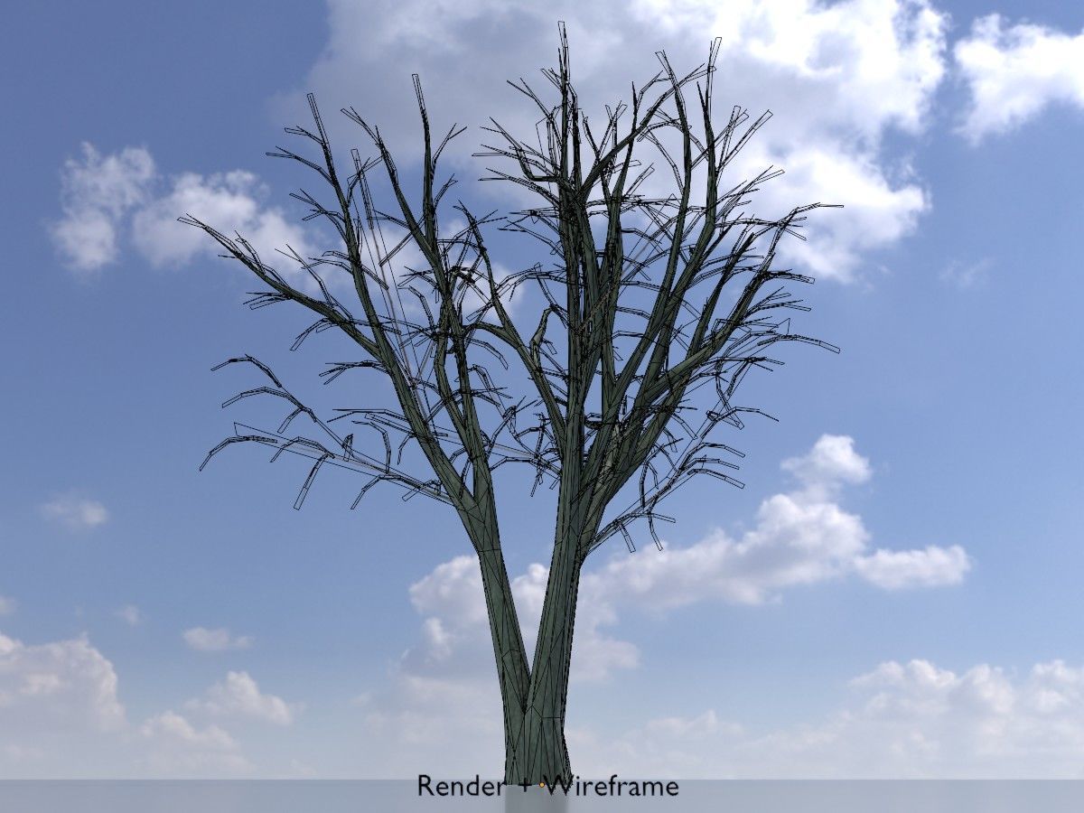 Japanese pagoda tree winter package 3D Model Collection_98