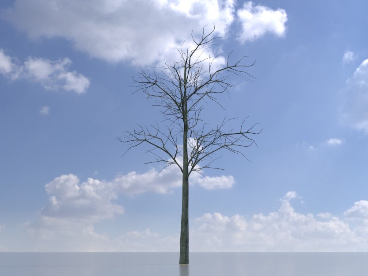 Japanese pagoda tree winter package 3D Model Collection_74