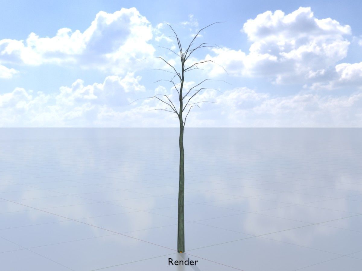 Japanese pagoda tree winter package 3D Model Collection_125