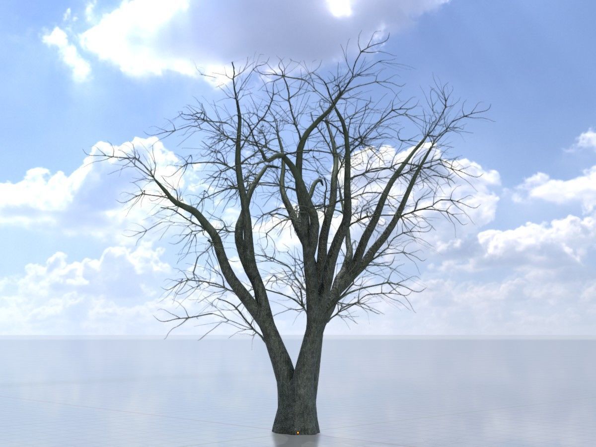 Japanese pagoda tree winter package 3D Model Collection_33