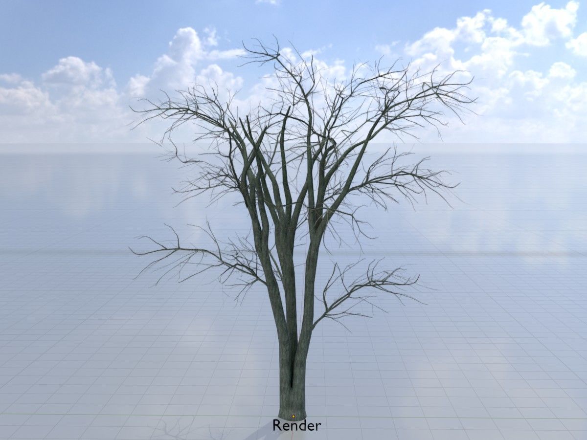 Japanese pagoda tree winter package 3D Model Collection_66