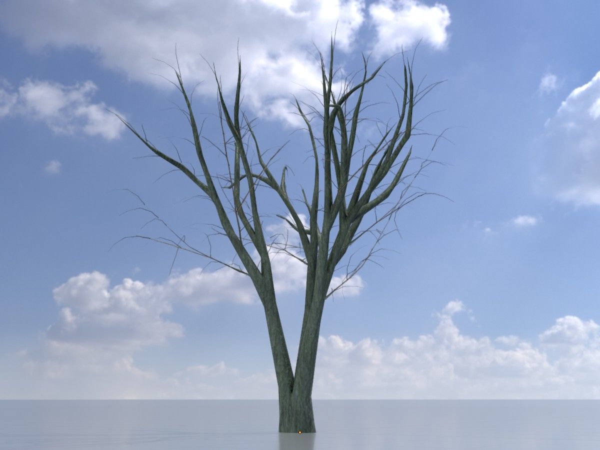 Japanese pagoda tree winter package 3D Model Collection_94