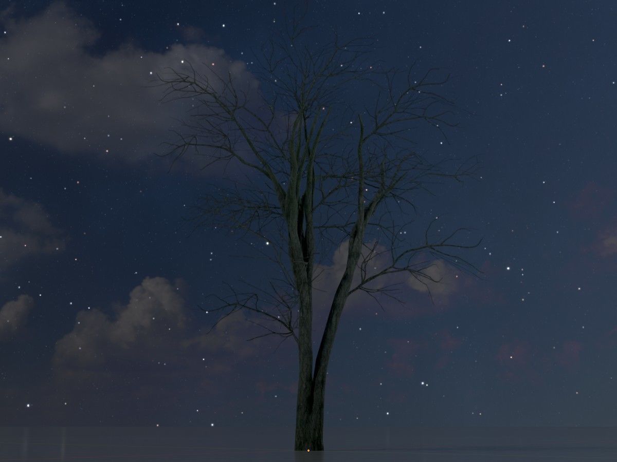 Japanese pagoda tree winter package 3D Model Collection_56