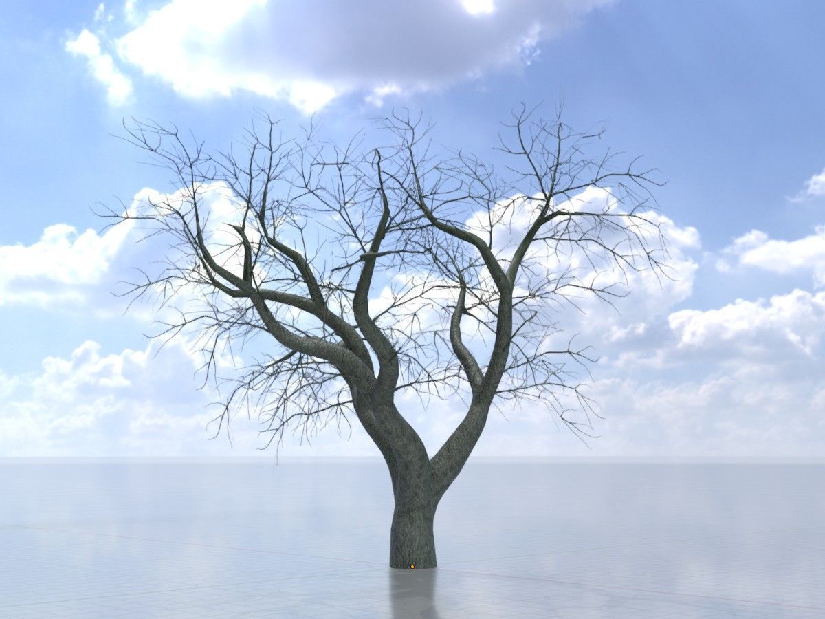 Japanese pagoda tree winter package 3D Model Collection_13