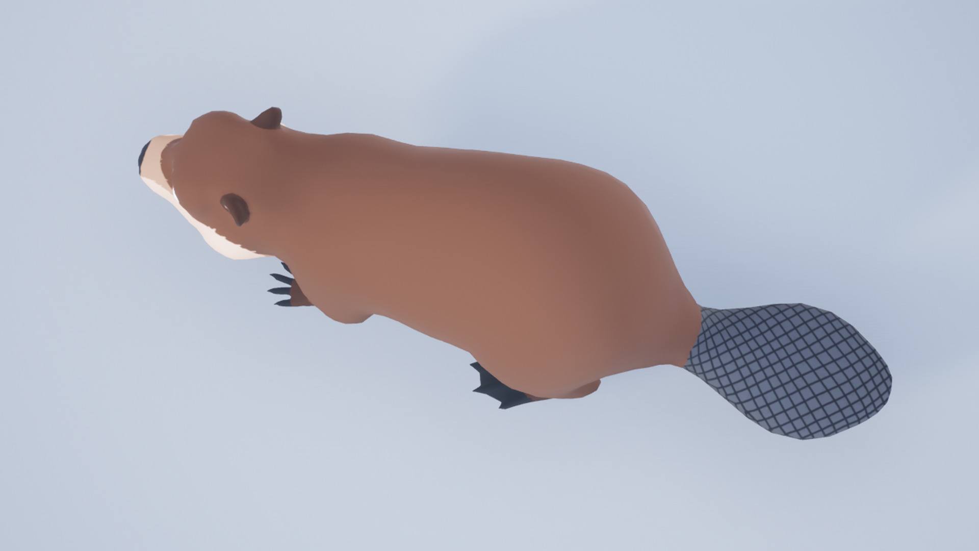 Cartoon Beaver Low-poly 3D model_10
