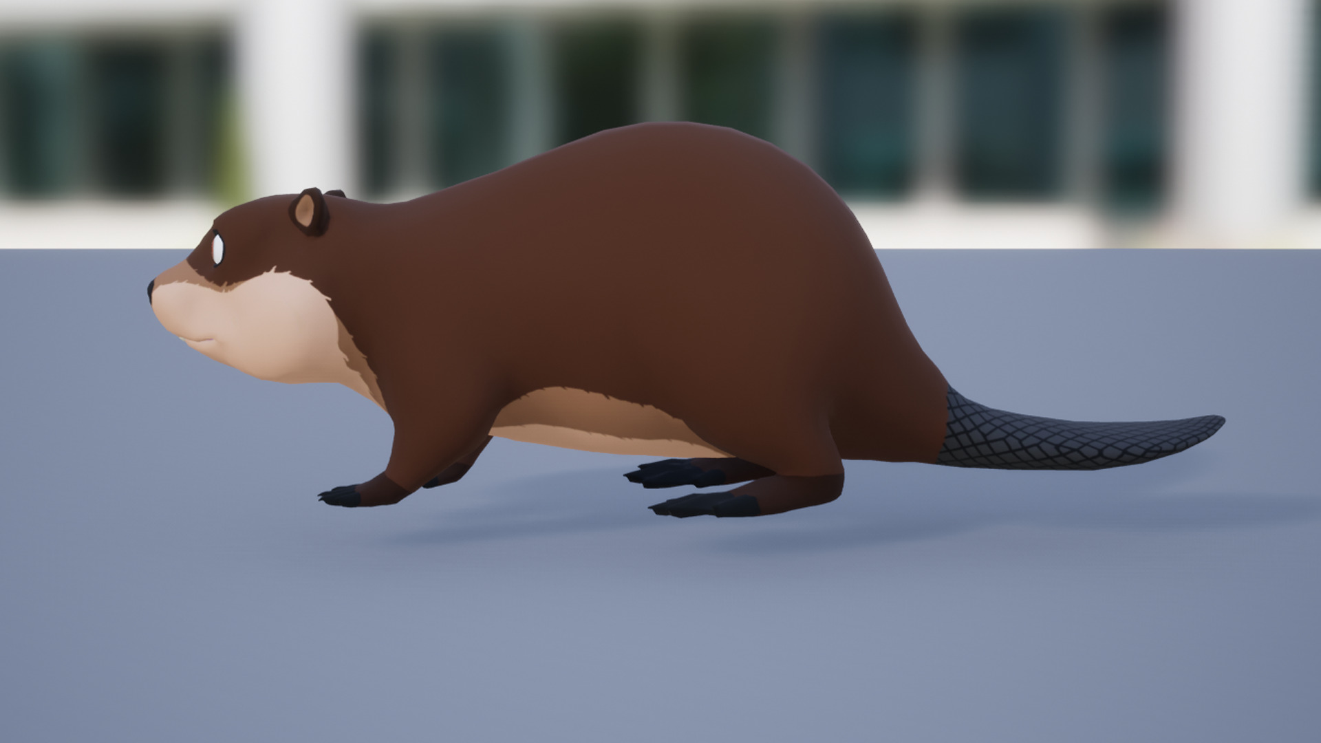 Cartoon Beaver Low-poly 3D model_8