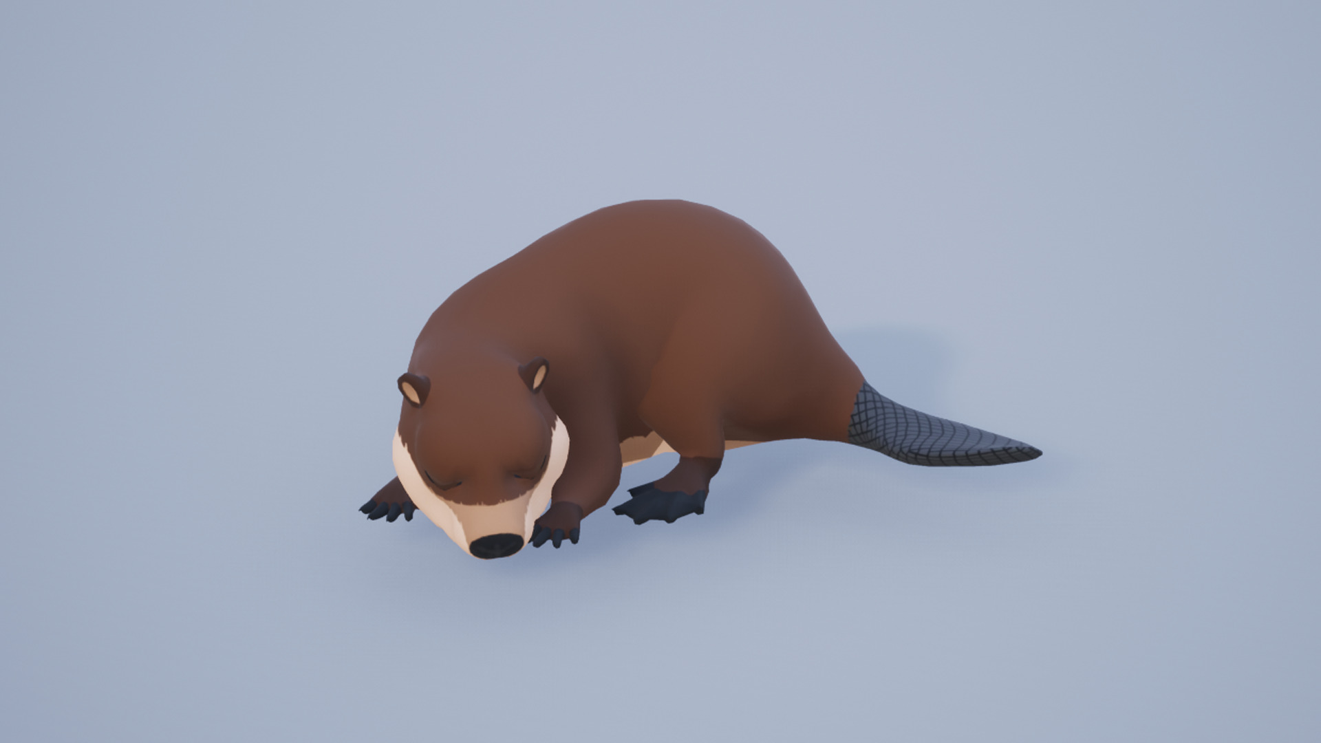 Cartoon Beaver Low-poly 3D model_13