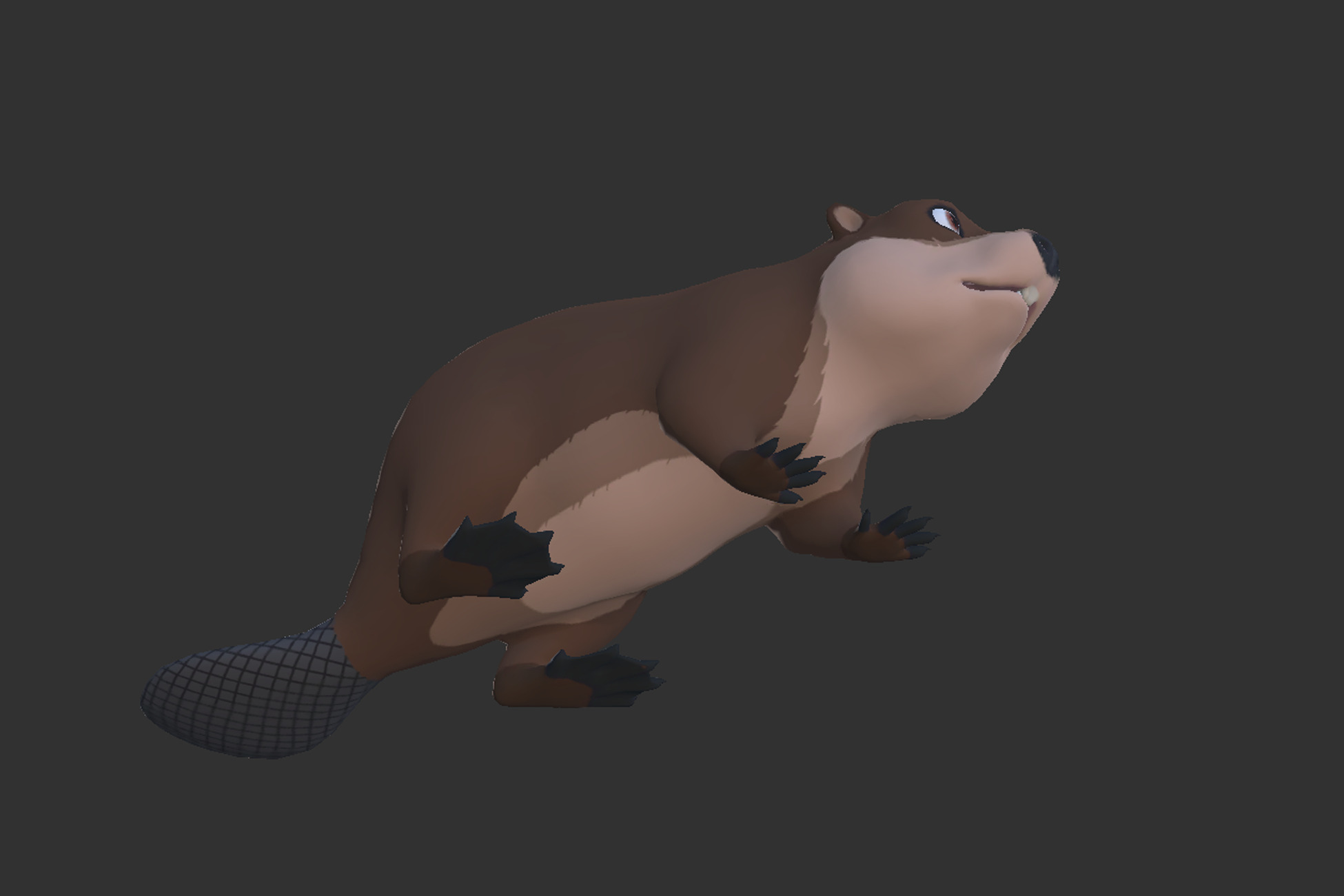 Cartoon Beaver Low-poly 3D model_5