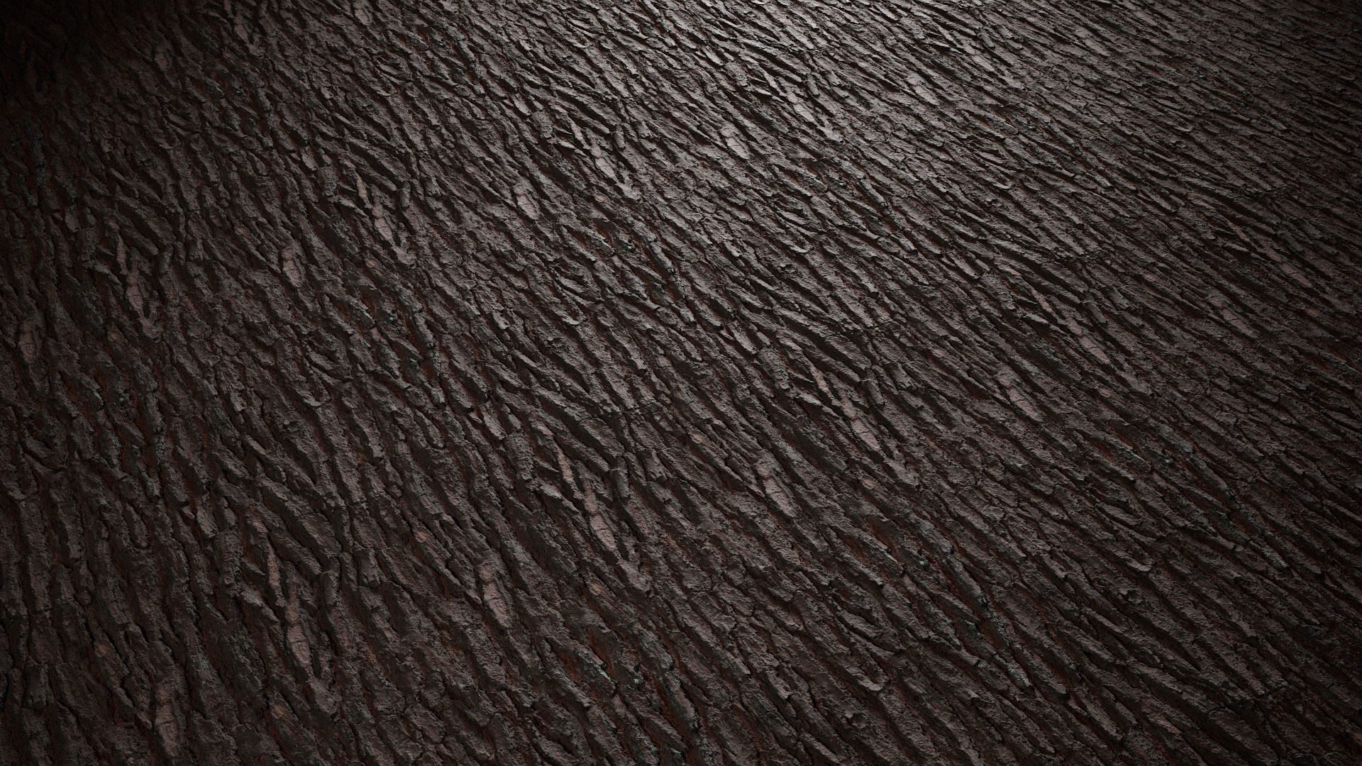 Anydrafts Pinus Bark 15 Texture_4