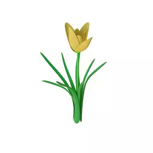  Flower 3D Model
