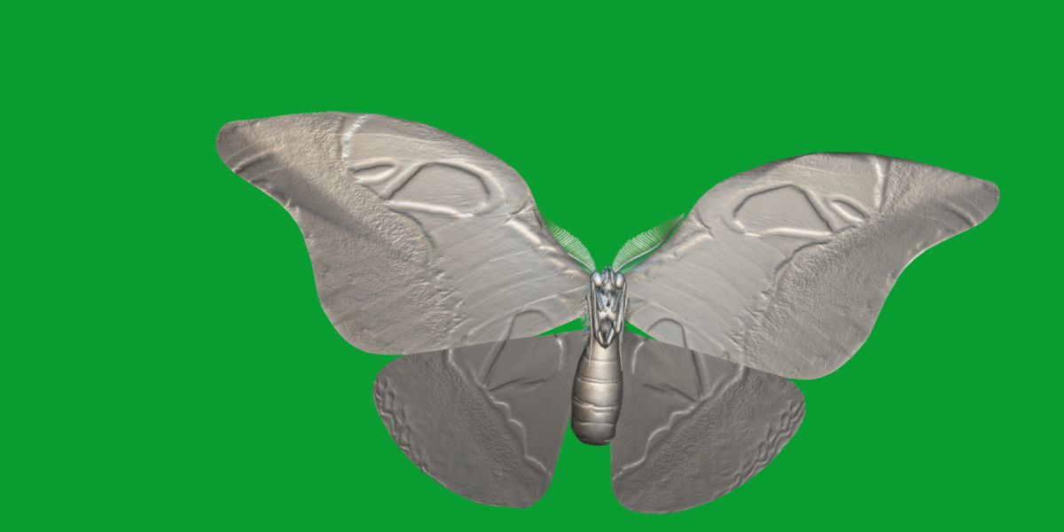 Atlas Moth Butterfly Low-poly 3D model_12