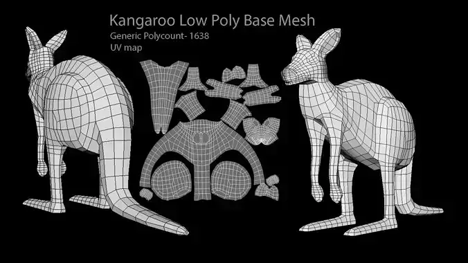 Kangaroo Model Low Poly  Base Mesh