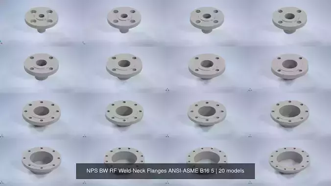 NPS BW RF Weld-Neck Flanges ANSI-ASME B16 5