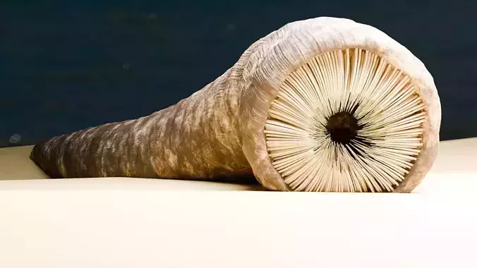 Dune Sandworm 3D model