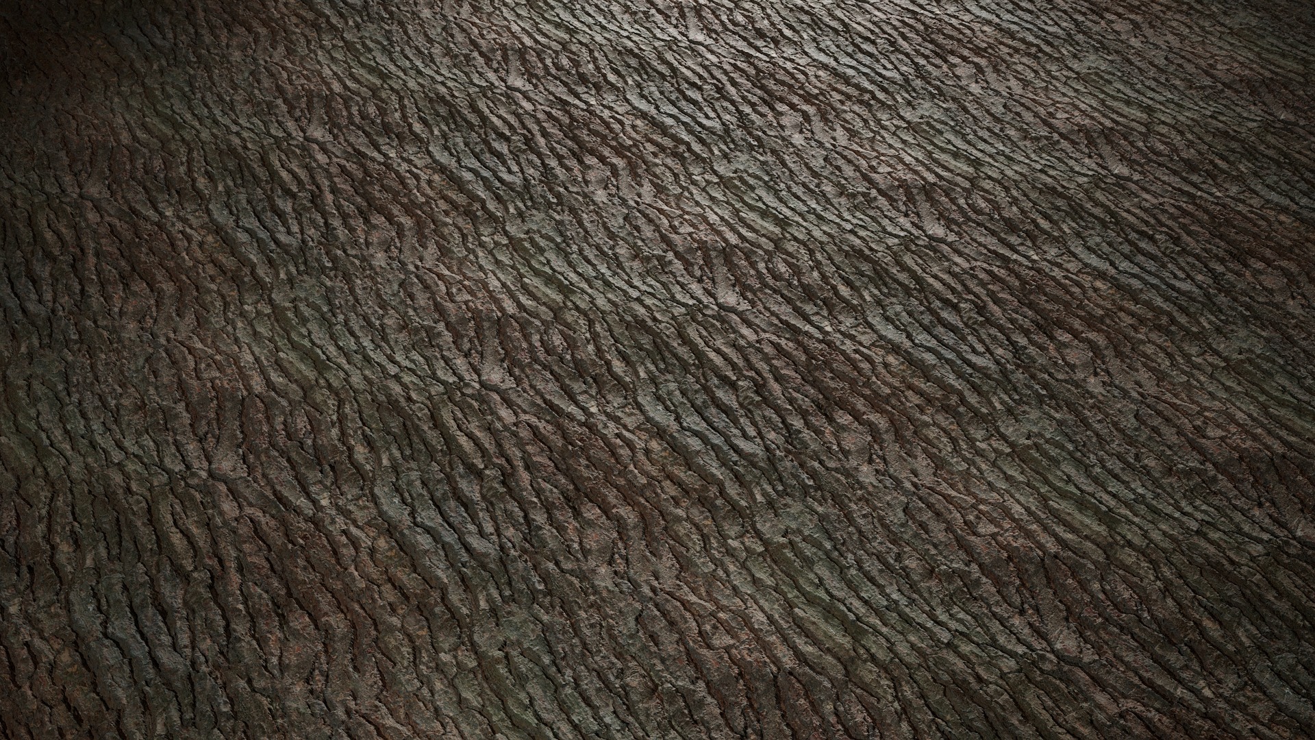 Anydrafts Pinus Bark 31 Texture_4