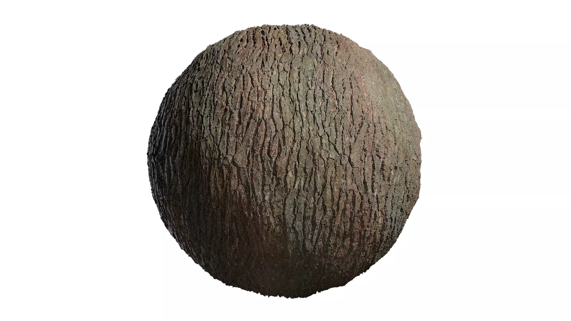 Anydrafts Pinus Bark 31 Texture_0