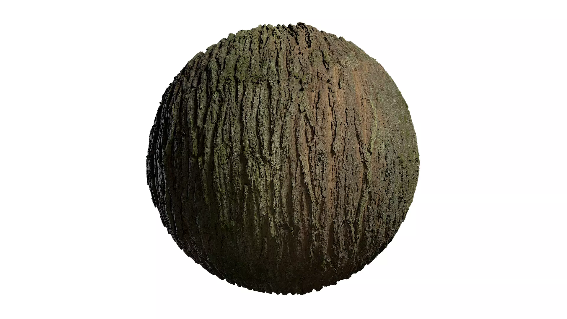 Anydrafts Pinus densata Bark 05 Texture