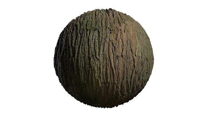 Anydrafts Pinus densata Bark 05 Texture