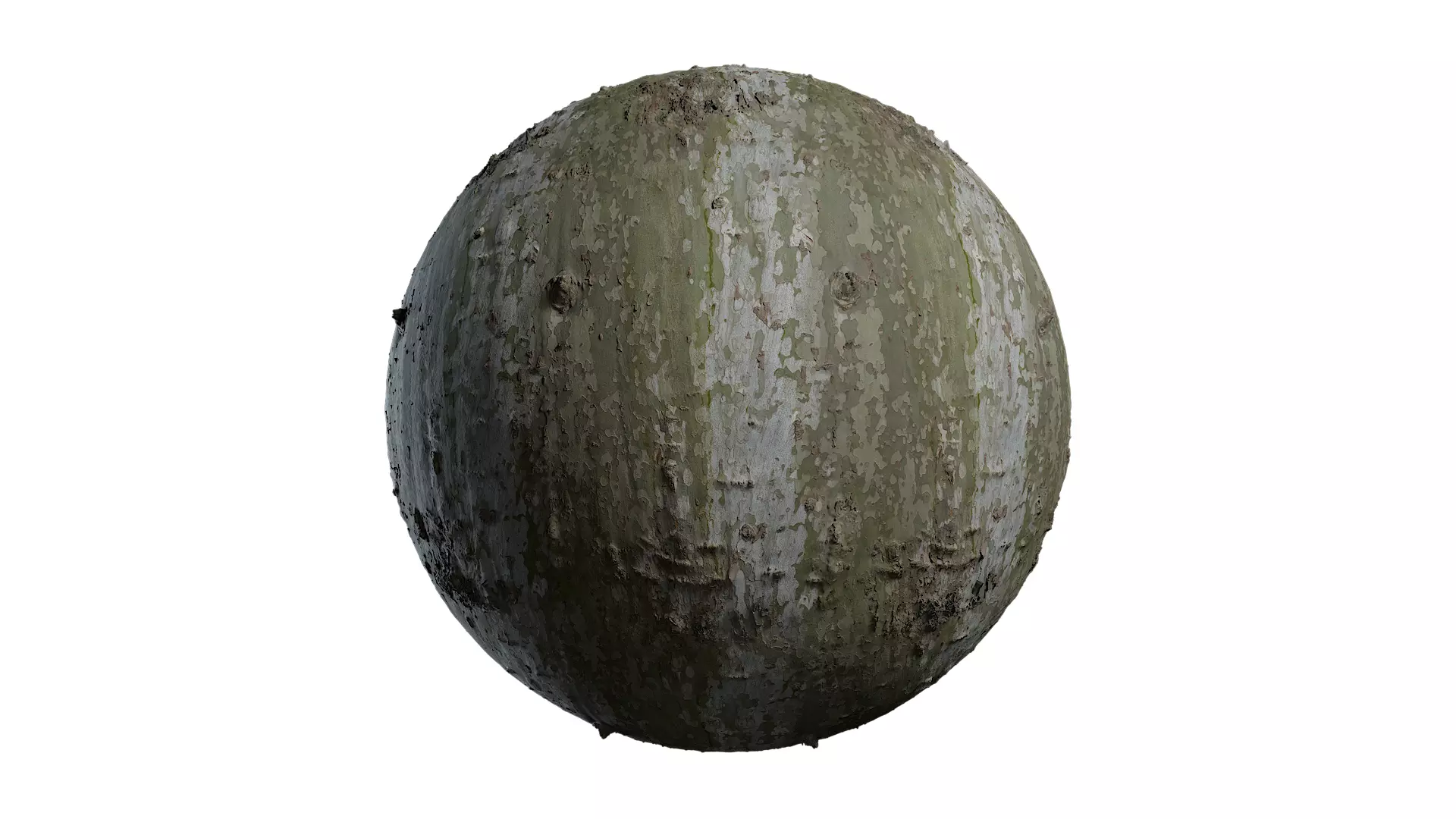 Anydrafts Platanus orientalis Bark 10 Texture